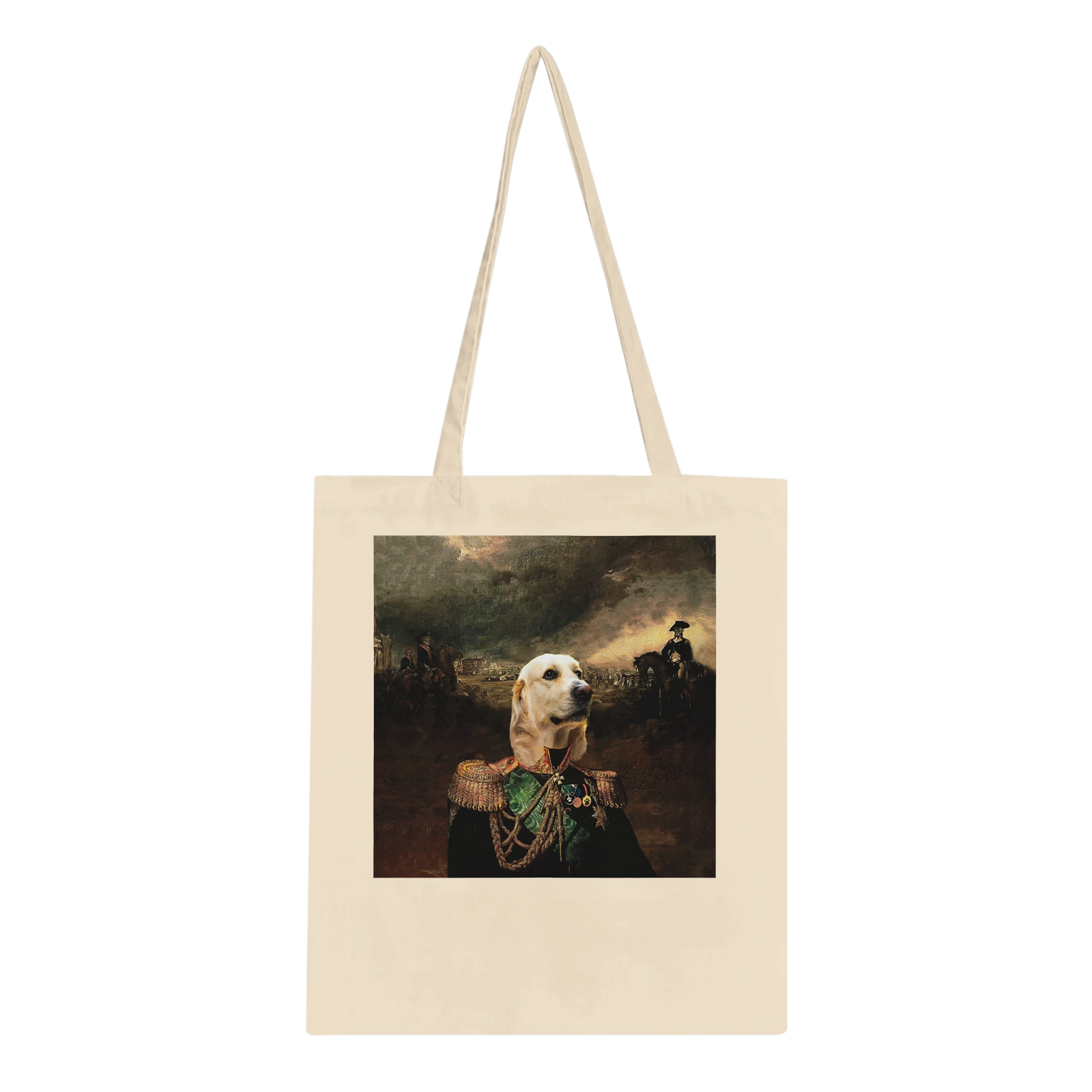 0b54b2a4-1fac-4a5f-be47-4949223798a3