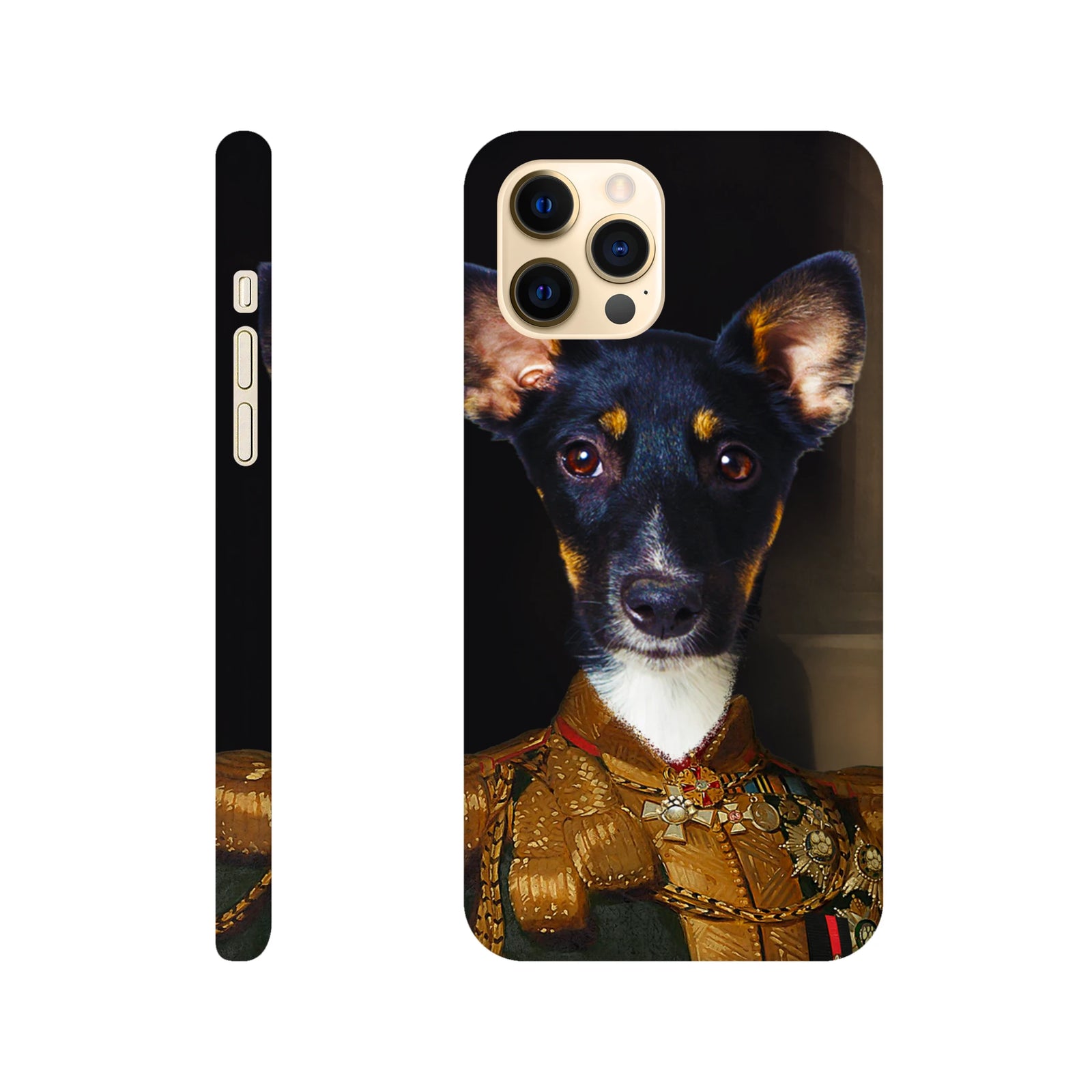 0fc81c9e-3897-4547-9794-b9155044b10a