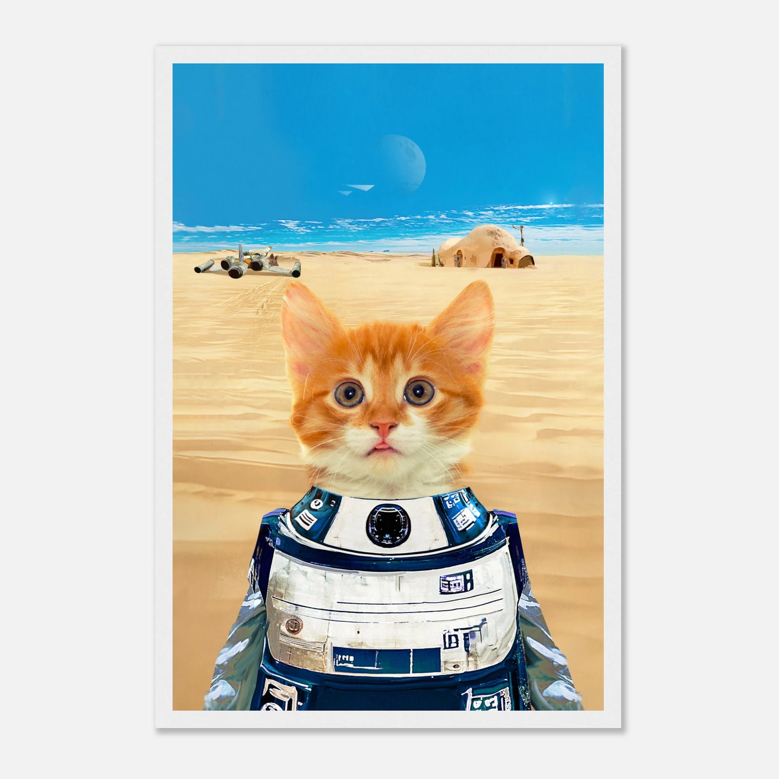 78f98505-4abd-48ff-a92d-557fa7e5b36f