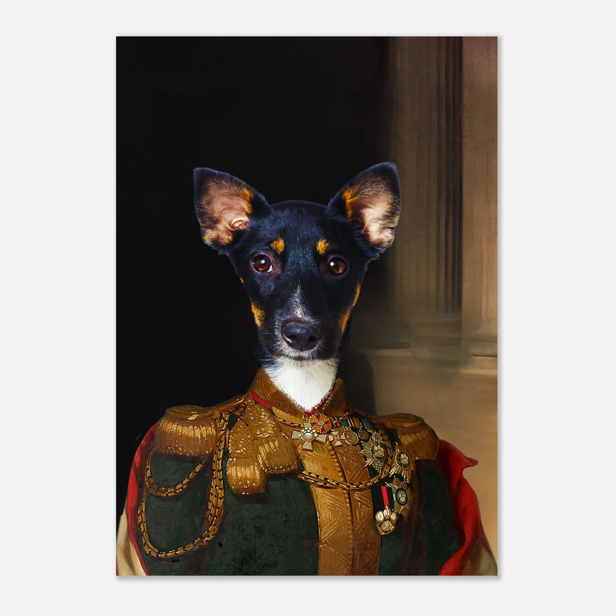 19bf9e12-09e9-4a7c-81d2-0bb389b12568