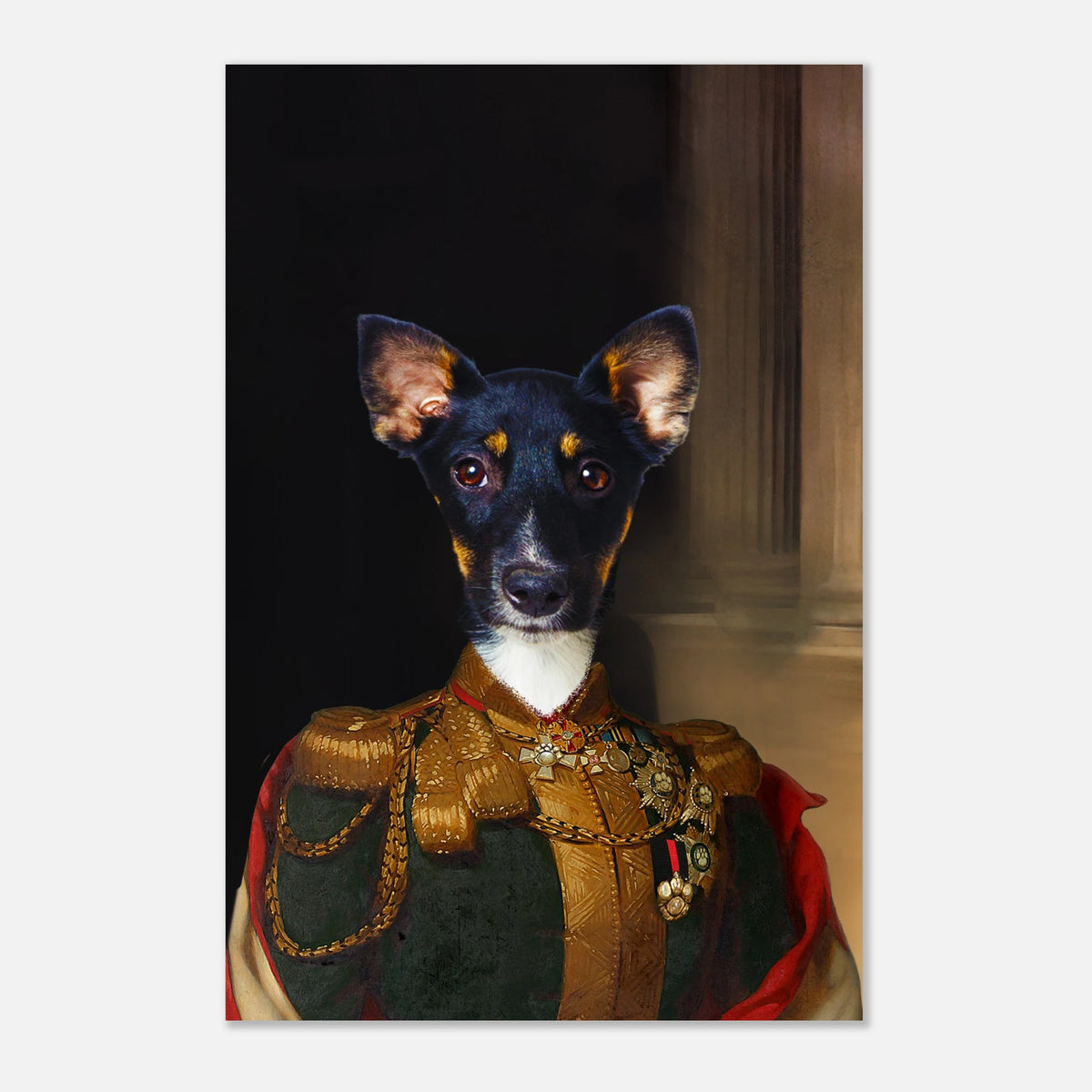 31a19821-2bf8-414f-8511-6337dedb4a04