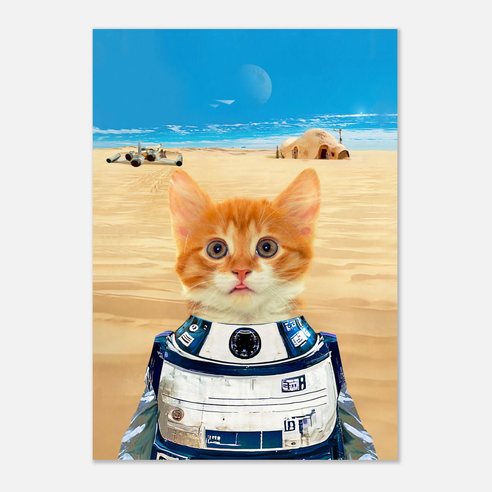 6f71c0dc-fbc1-4e7e-9754-b85d8651e969