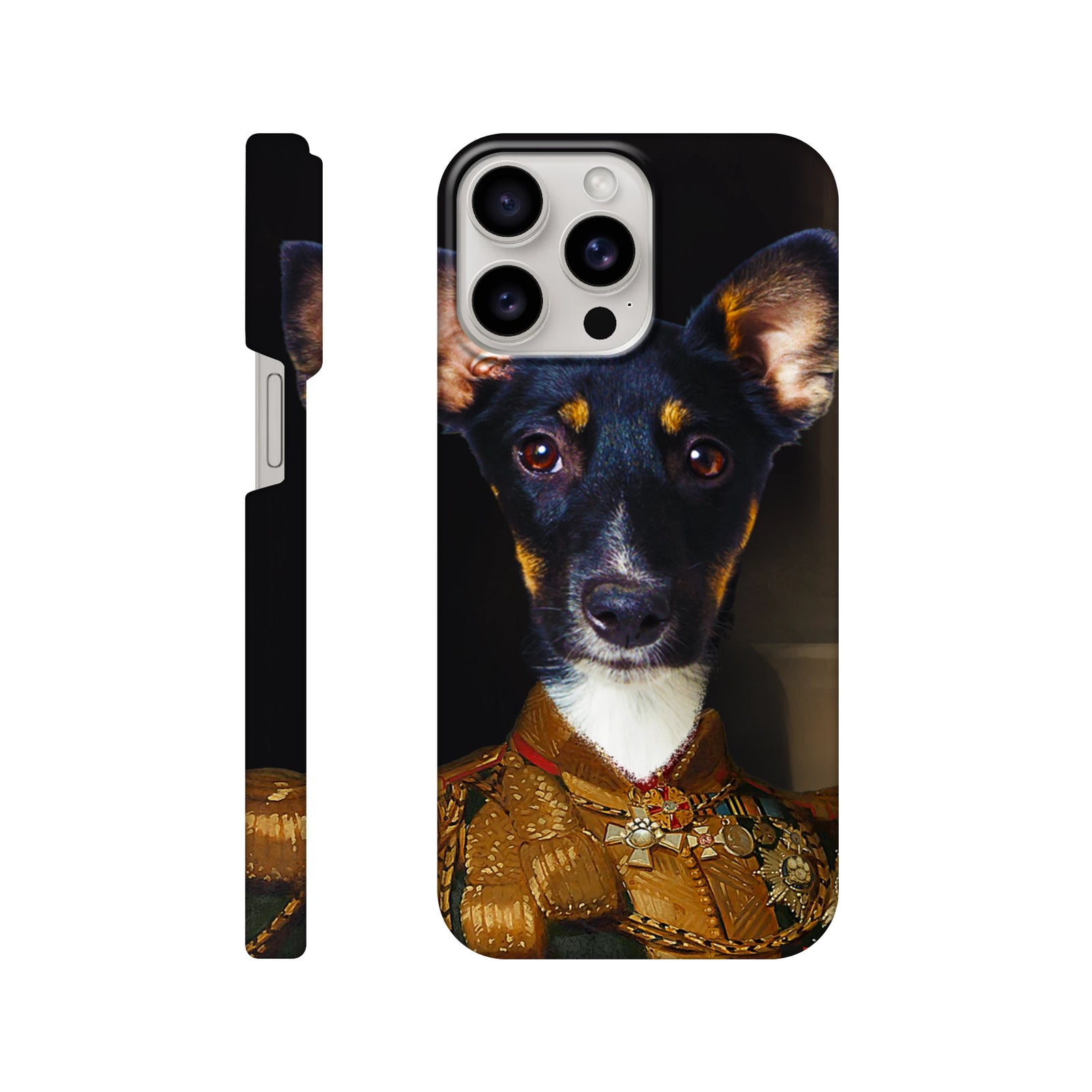 a8c48c7f-5a11-4a71-ad78-5aafd1de5e2f