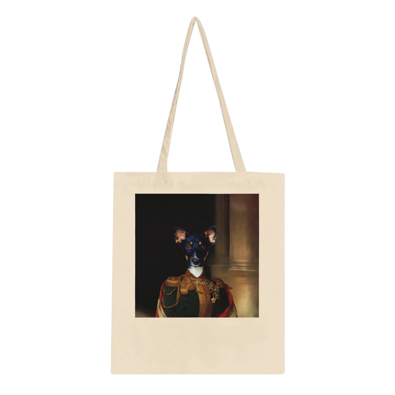 ae552cd2-3211-43c2-a319-9e0bc894aa29